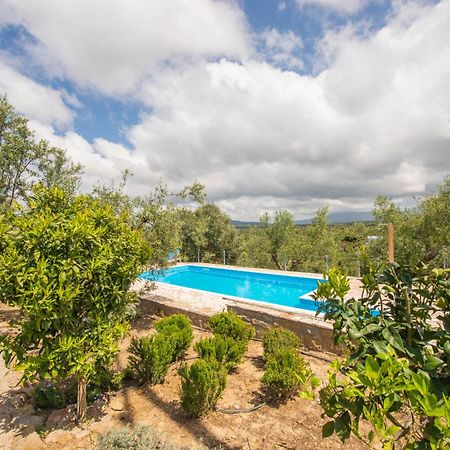 Hakuna Matata Holidays Wooden Lodge With Airco & Pool In Greek Olive Grove Methoni (Messenia) Exterior foto