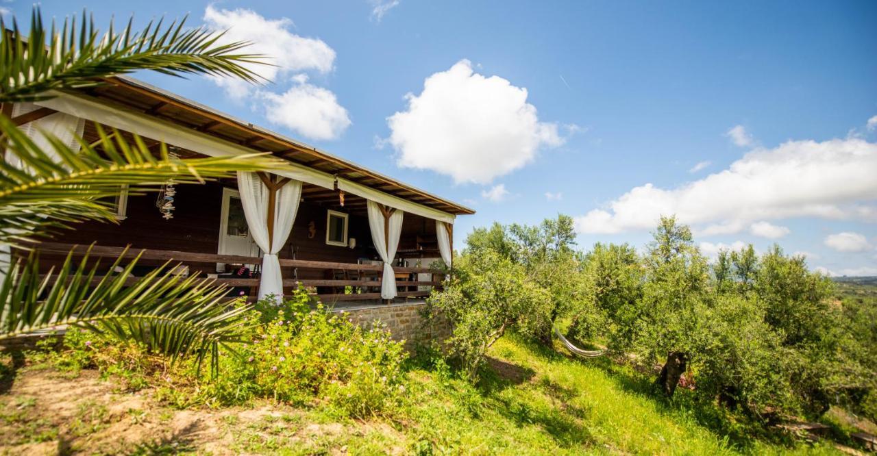 Hakuna Matata Holidays Wooden Lodge With Airco & Pool In Greek Olive Grove Methoni (Messenia) Exterior foto