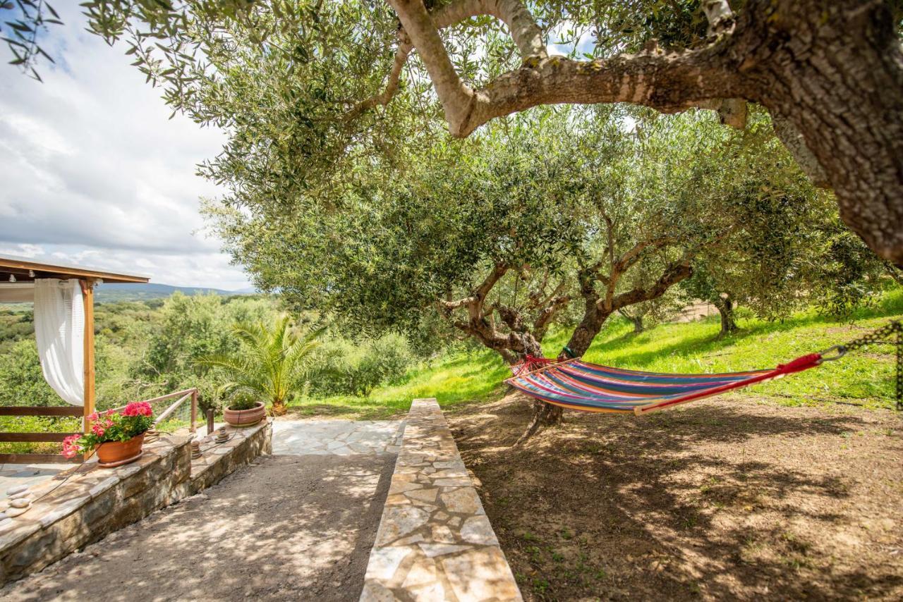 Hakuna Matata Holidays Wooden Lodge With Airco & Pool In Greek Olive Grove Methoni (Messenia) Exterior foto