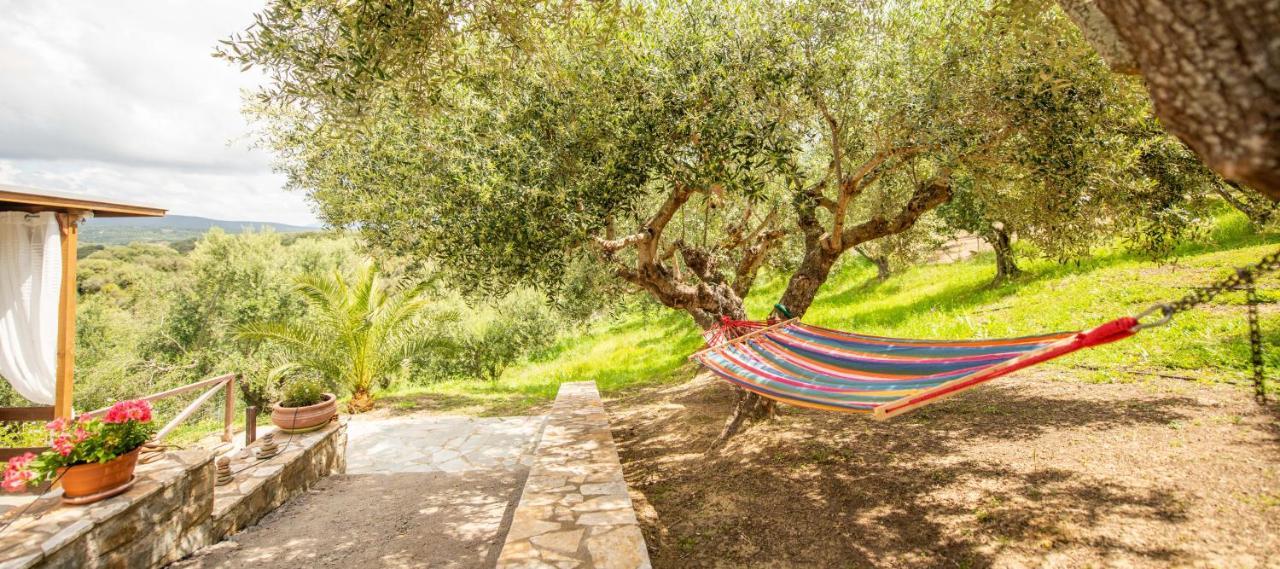 Hakuna Matata Holidays Wooden Lodge With Airco & Pool In Greek Olive Grove Methoni (Messenia) Exterior foto