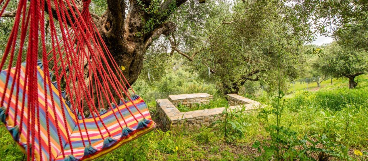 Hakuna Matata Holidays Wooden Lodge With Airco & Pool In Greek Olive Grove Methoni (Messenia) Exterior foto